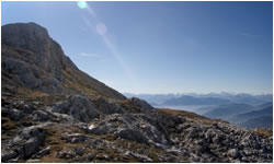 Welcome Hoteltransfer